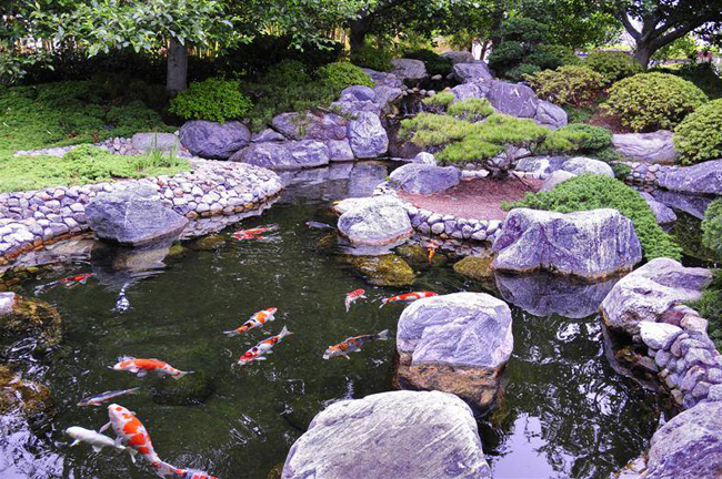 Mẫu tiểu cảnh sân vườn Nhật Bản