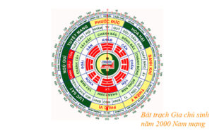 phong-thuy-nha-dep-tuoi-2000
