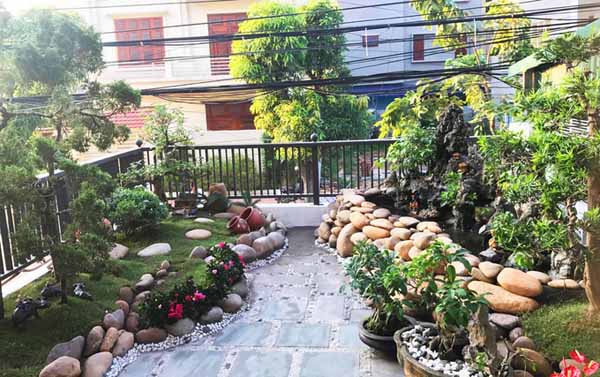 Cải tạo vườn trên sân thượng bằng bonsai 