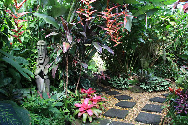 Sân vườn nhiệt đới-Tropical garden