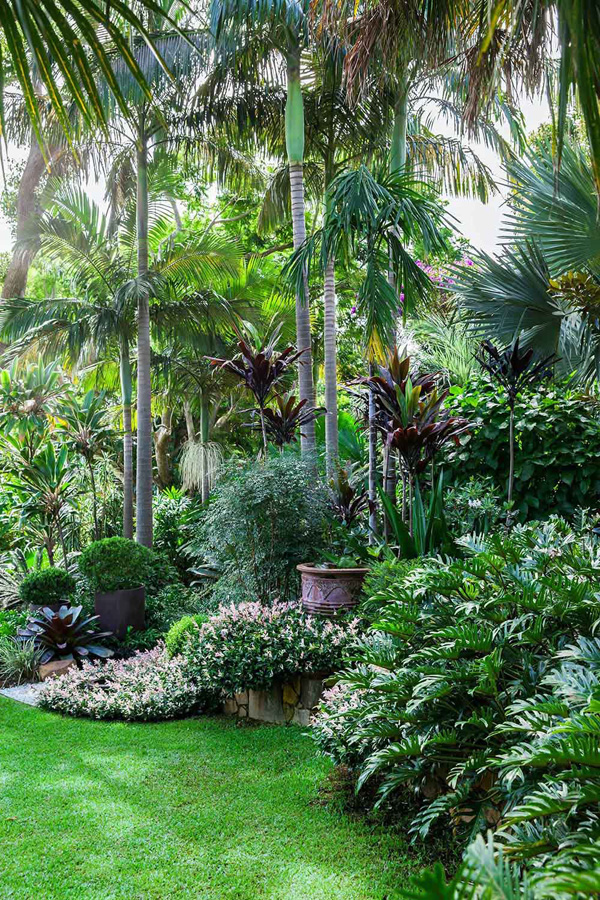 Sân vườn nhiệt đới-Tropical garden