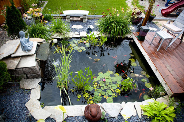 Hồ cá nhỏ trong sân vườn đem đến không gian yên bình