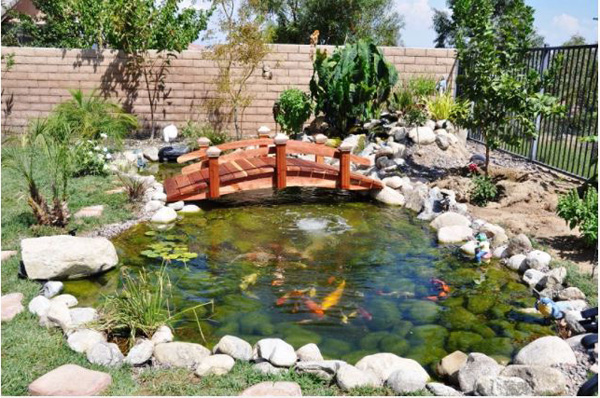 Hồ cá tiểu cảnh sân vườn và cách để tiết kiệm chi phí thi công