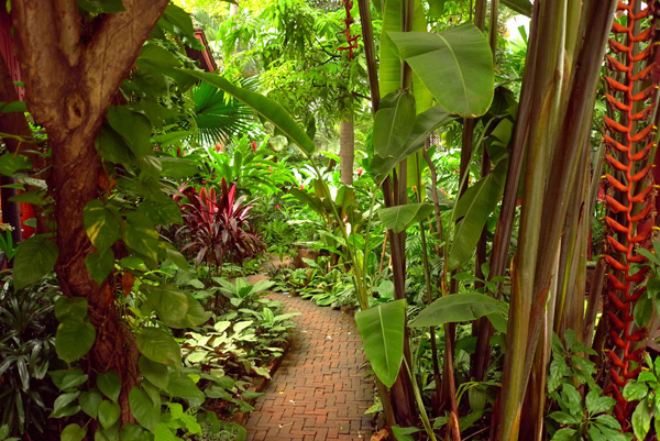 Tiểu cảnh sân vườn nhiệt đới