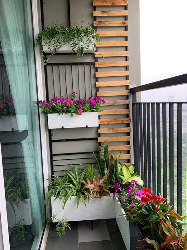 Trang trí tiểu cảnh sân vườn