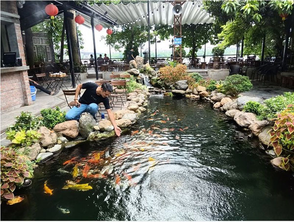 Mẫu thiết kế quán cafe sân vườn hồ cá koi