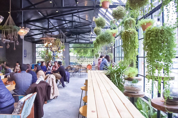 Thiết kế cafe sân vườn