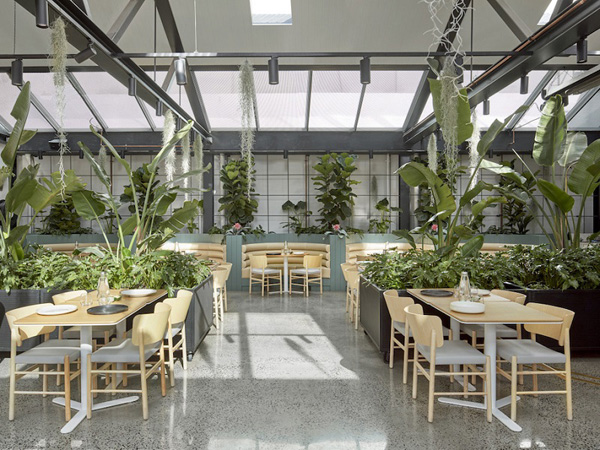 thiết kế quán cafe sân vườn