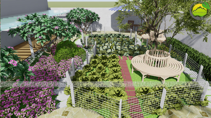 thiết kế sân vườn trồng rau