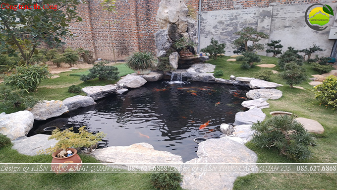 Mẫu hồ cá Koi mini đẹp