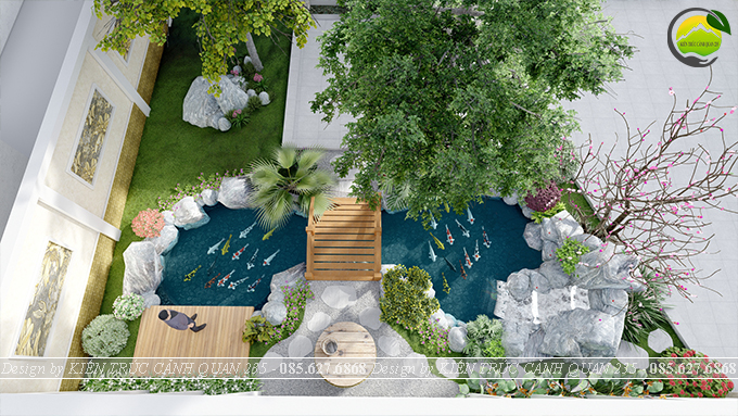 Thiết kế hồ koi