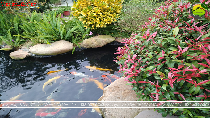 Tiểu cảnh hồ Koi đẹp