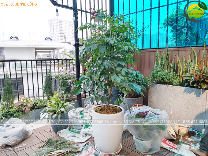 Thi công tiểu cảnh vườn sân thượng