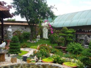 Hướng dẫn cách bố trí cây cảnh trong sân vườn đẹp, hợp phong thủy