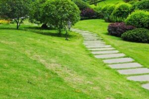 Tổng hợp các loại cỏ sân vườn tự nhiên đẹp nhất hiện nay