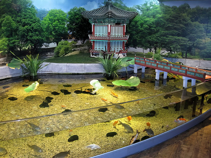 hồ kính cá koi đẹp