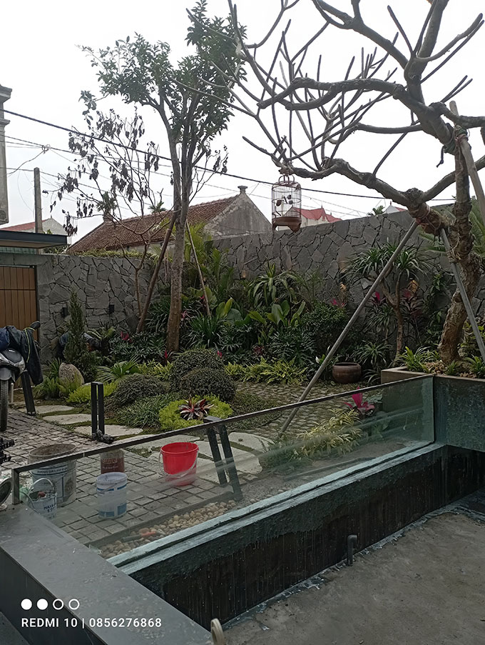 nuôi cá Koi trong bể kính