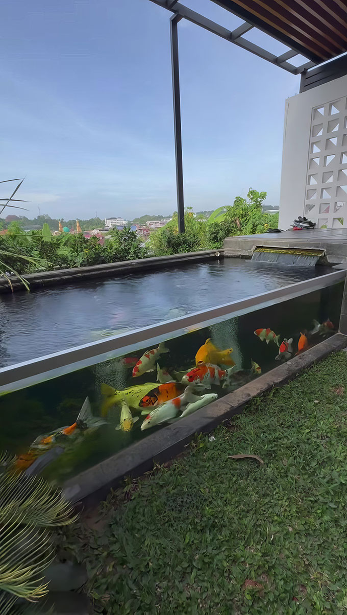 hồ cá Koi bằng kính