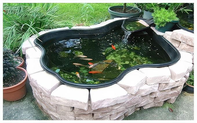 hồ cá mini bằng xi măng đẹp