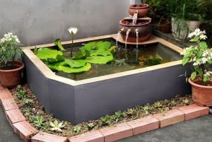 hồ cá mini bằng xi măng đẹp