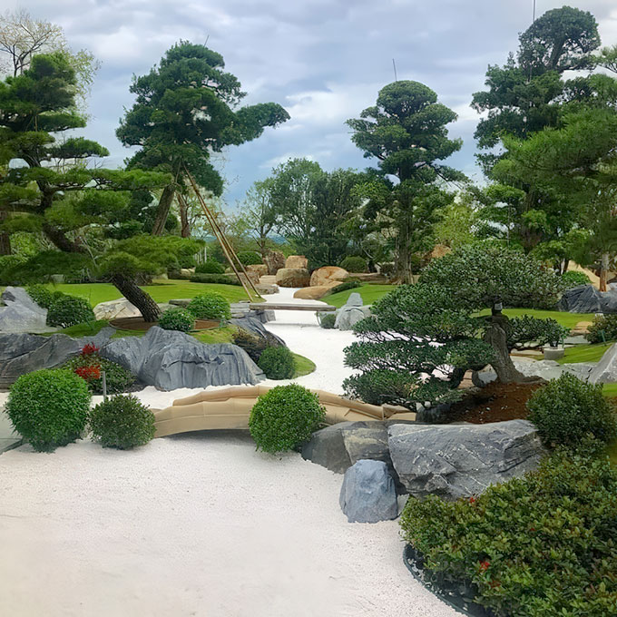 đồi tùng sân vườn