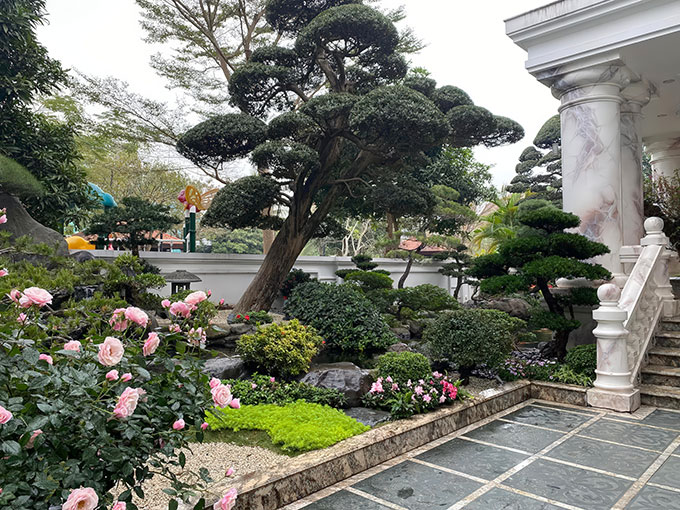 đồi tùng sân vườn