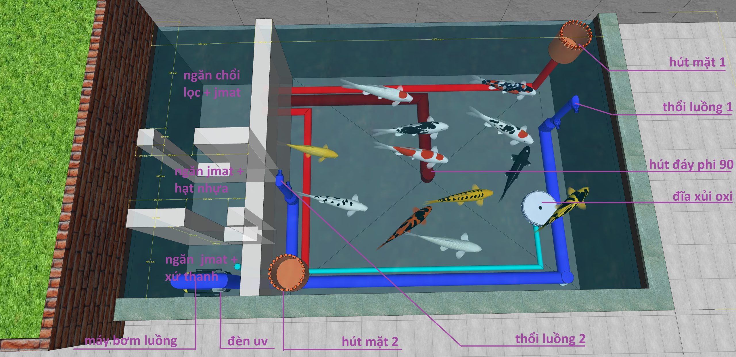 Thiết kế hồ cá sân vườn